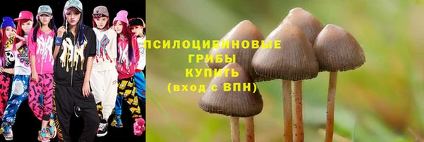 мдма Вяземский