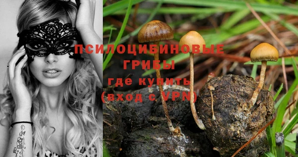 мдма Вяземский