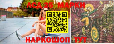 шишки Апшеронск