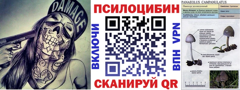 Псилоцибиновые грибы прущие грибы  Вязьма 