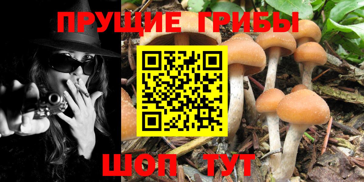 Псилоцибиновые грибы ЛСД Вязьма